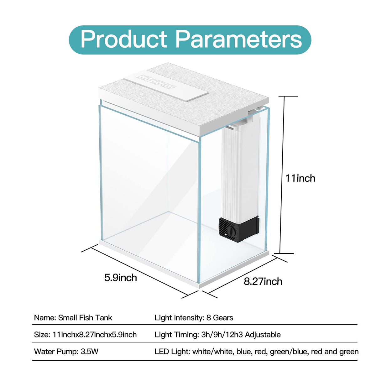 2 Gallon Glass Aquarium Starter Kit with Filter and Light F1577