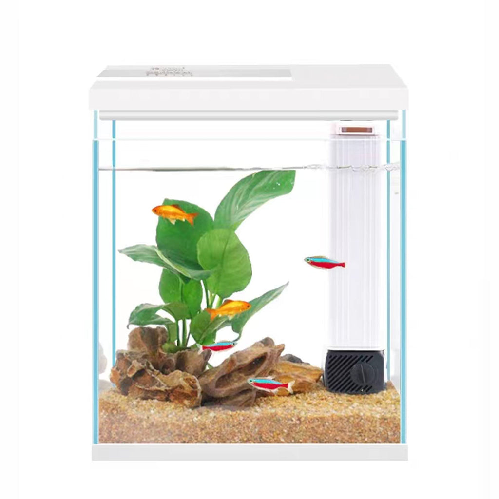 2 Gallon Glass Aquarium Starter Kit with Filter and Light F1577