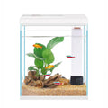 2 Gallon Glass Aquarium Starter Kit with Filter and Light F1577