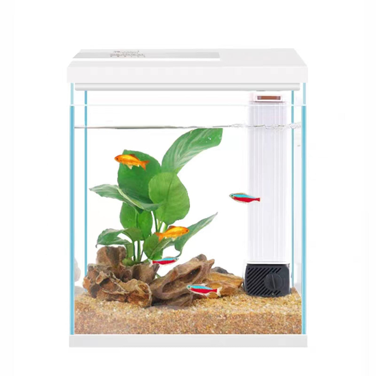 2 Gallon Glass Aquarium Starter Kit with Filter and Light F1577