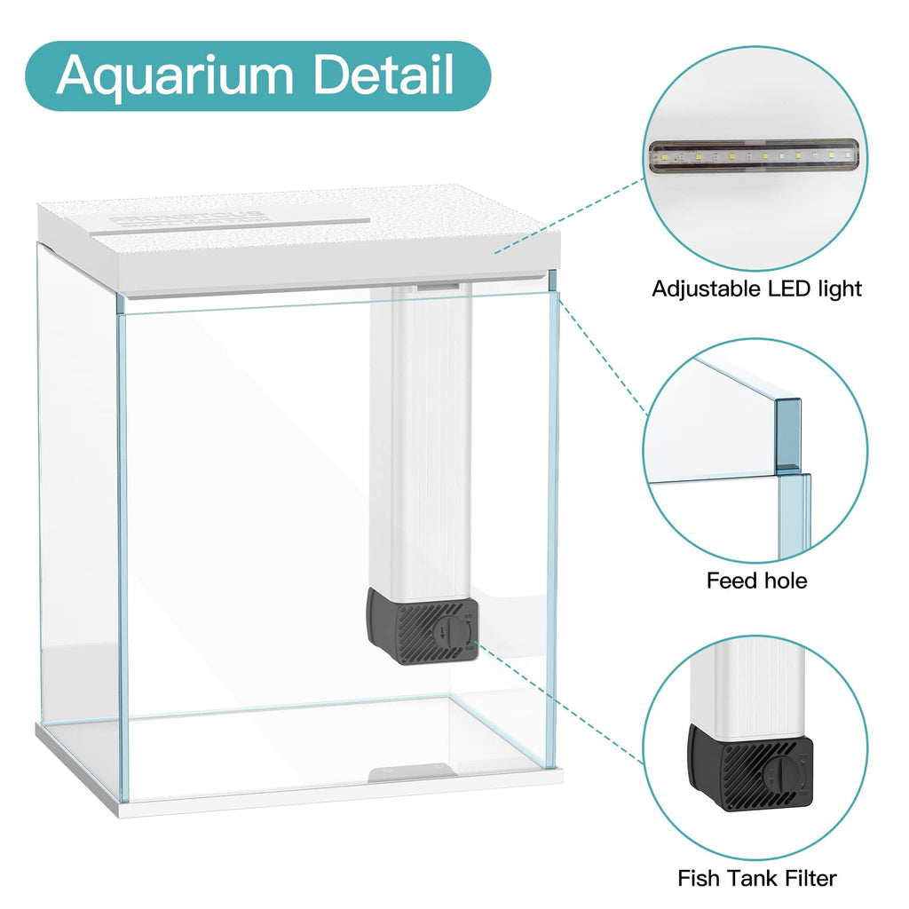2 Gallon Glass Aquarium Starter Kit with Filter and Light F1577