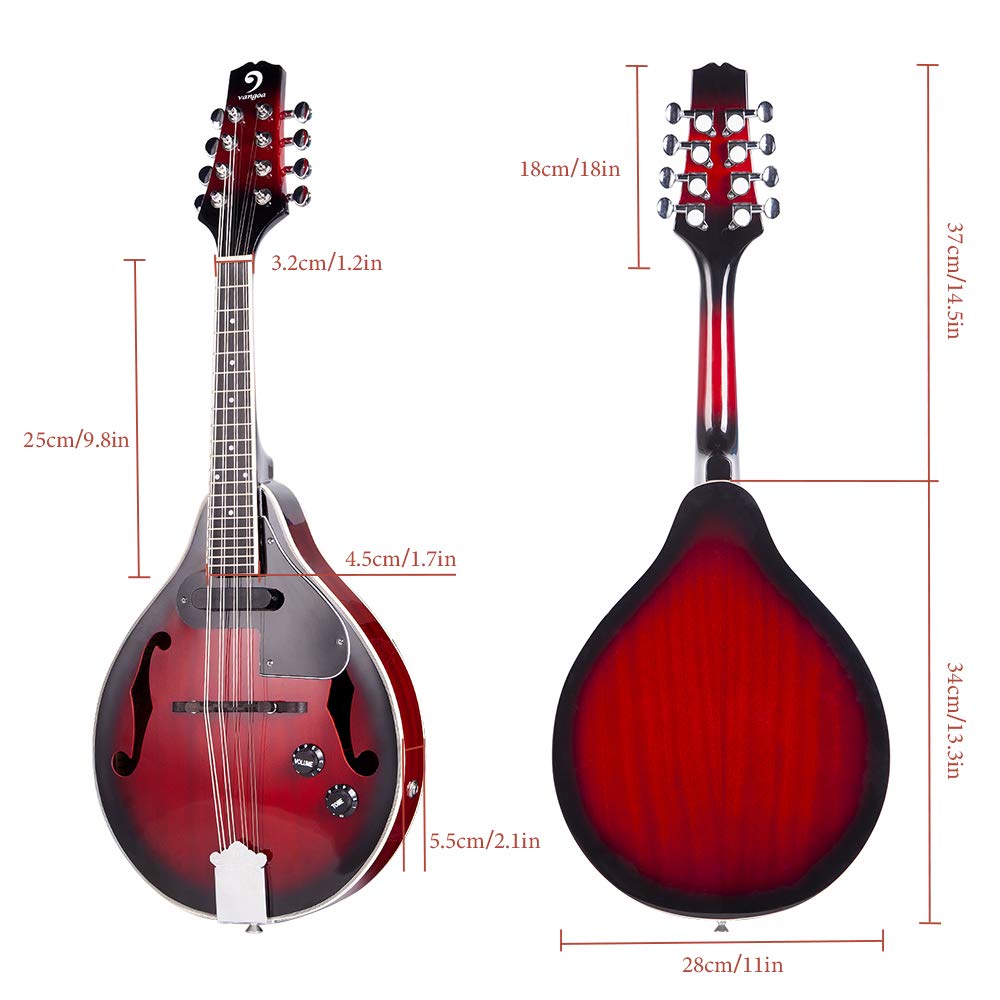 5 String Full Size Banjo and Mandolin Musical Instrument K1863