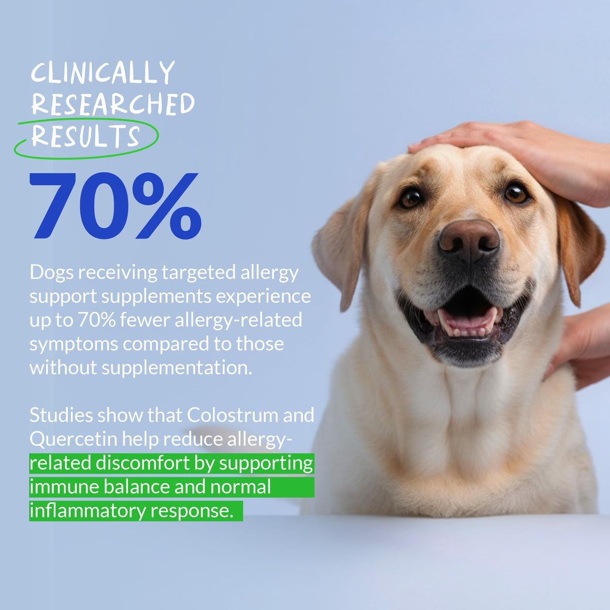 Allergy Relief for Dogs 120 Tablets S805345