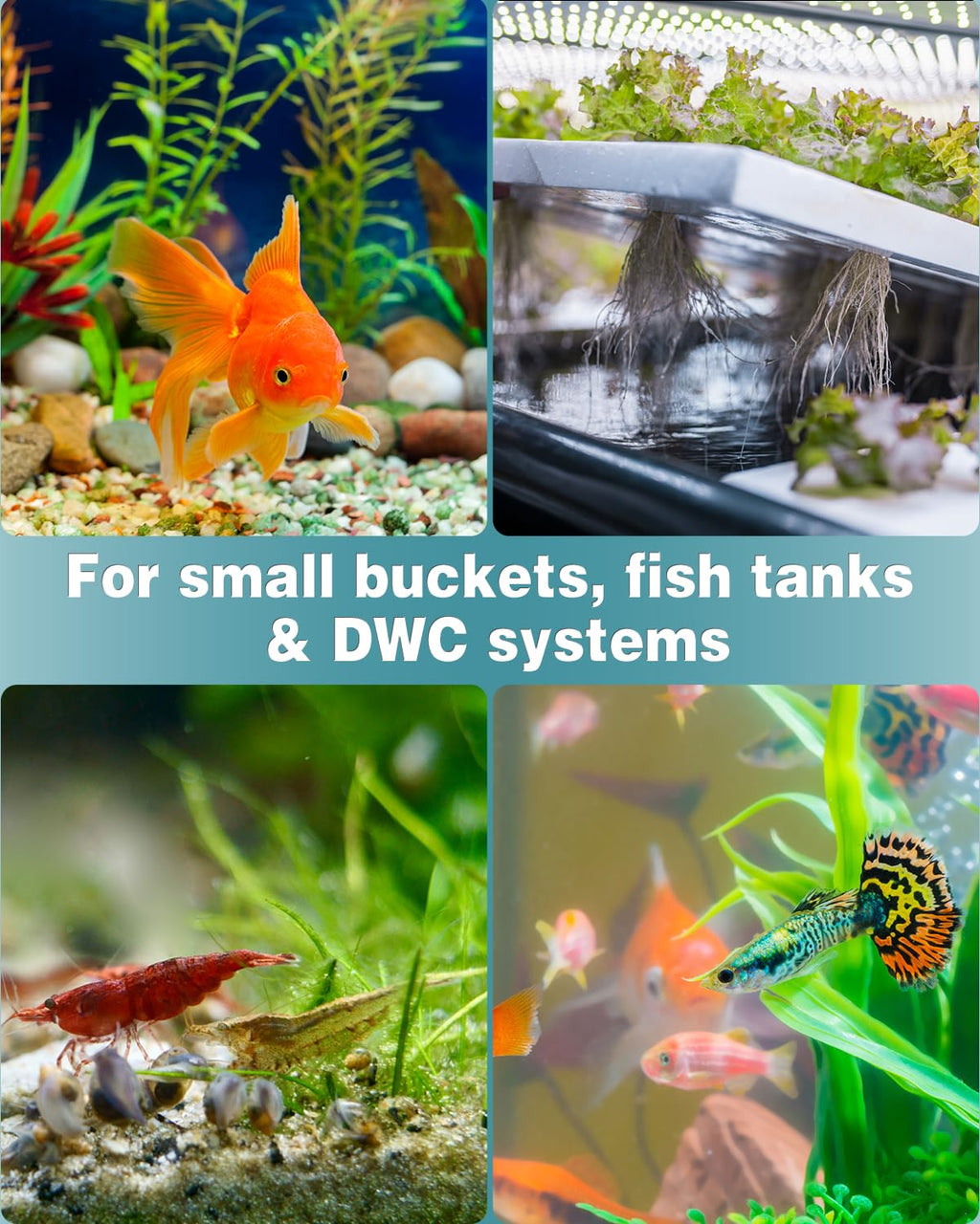 1 Inch Aquarium Air Stone 10 Pack H760505