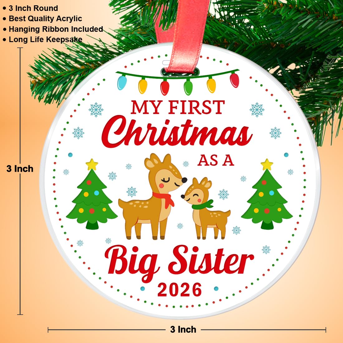 Christmas Keepsake Ornament R8977