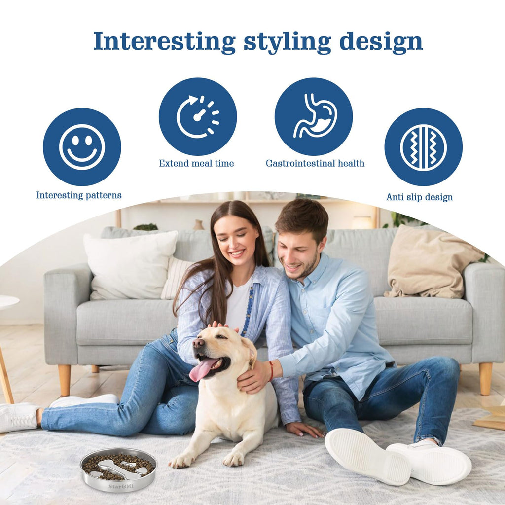 Stainless Steel Non-Slip Slow Feeder Dog Bowl C140