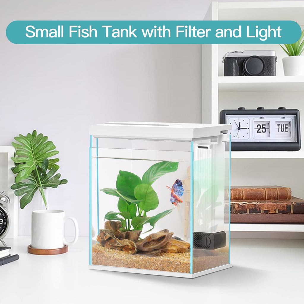 2 Gallon Glass Aquarium Starter Kit with Filter and Light F1577
