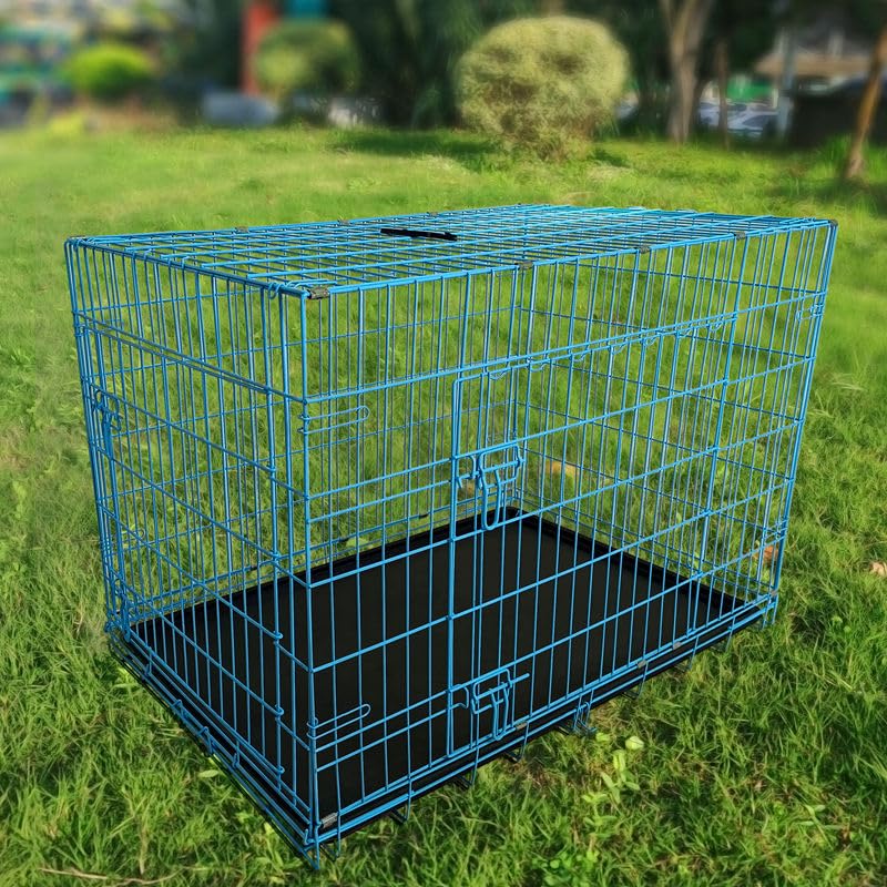 48-Inch Folding Metal Dog Crate with Divider and Tray I277