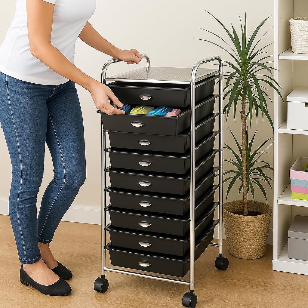 10 Drawer Rolling Storage Organizer X19190