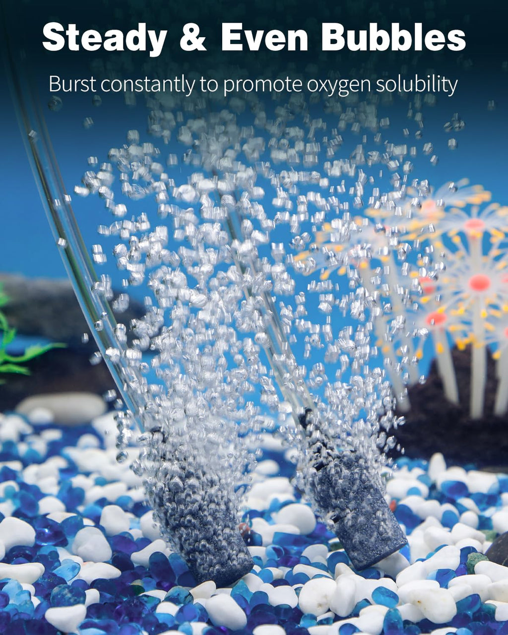 1 Inch Aquarium Air Stone 10 Pack H760505