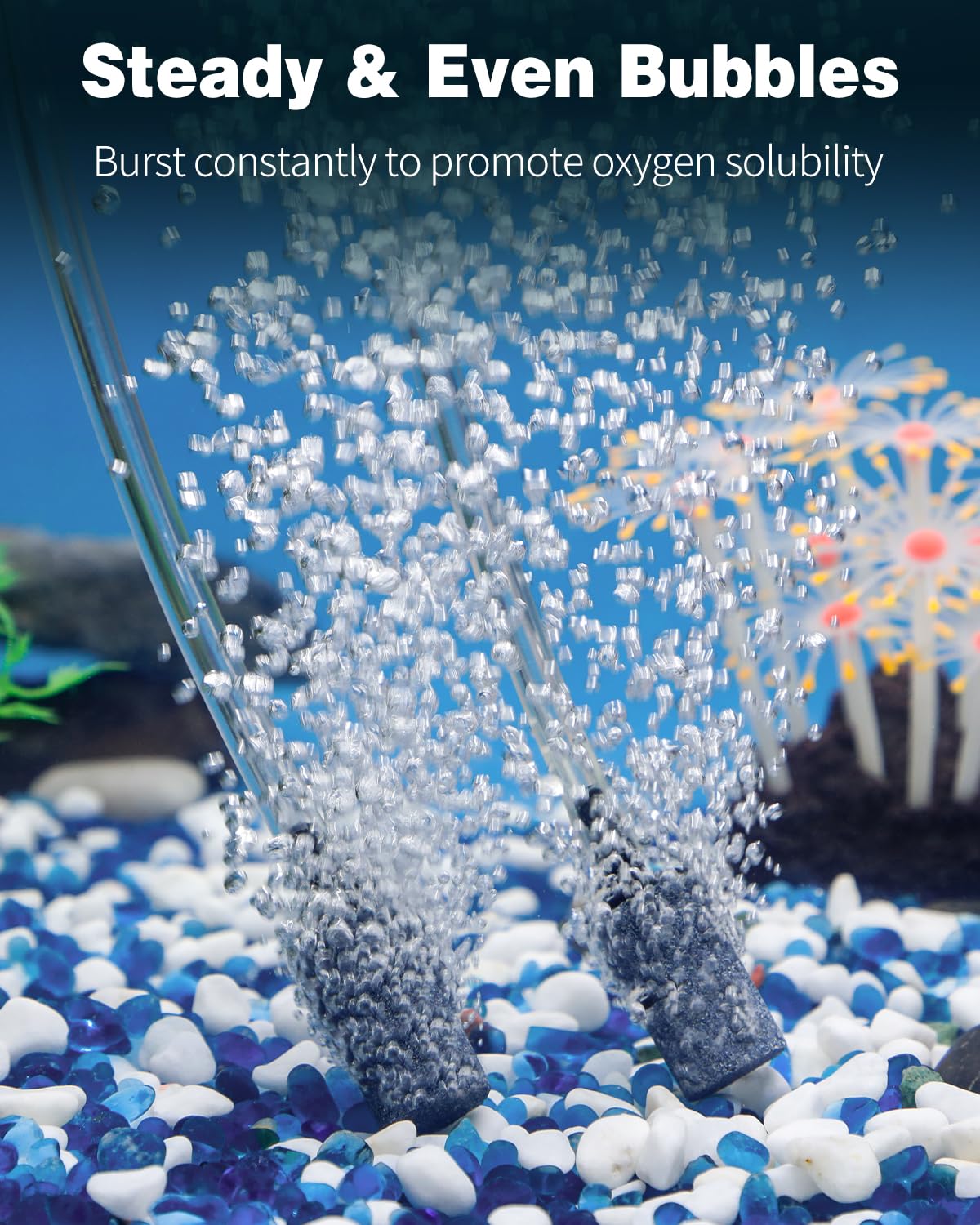 1 Inch Aquarium Air Stone 10 Pack H760505