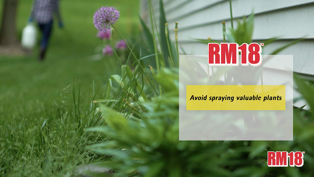 Fast-Acting Weed and Grass Killer, 64-ounce I229