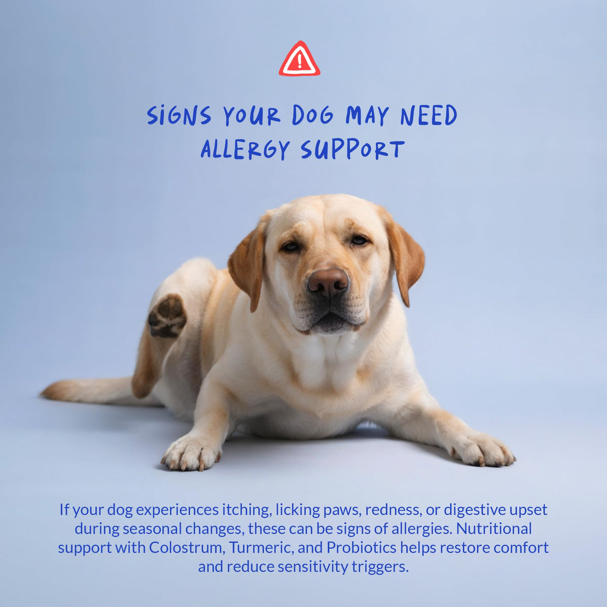 Allergy Relief for Dogs 120 Tablets S805345