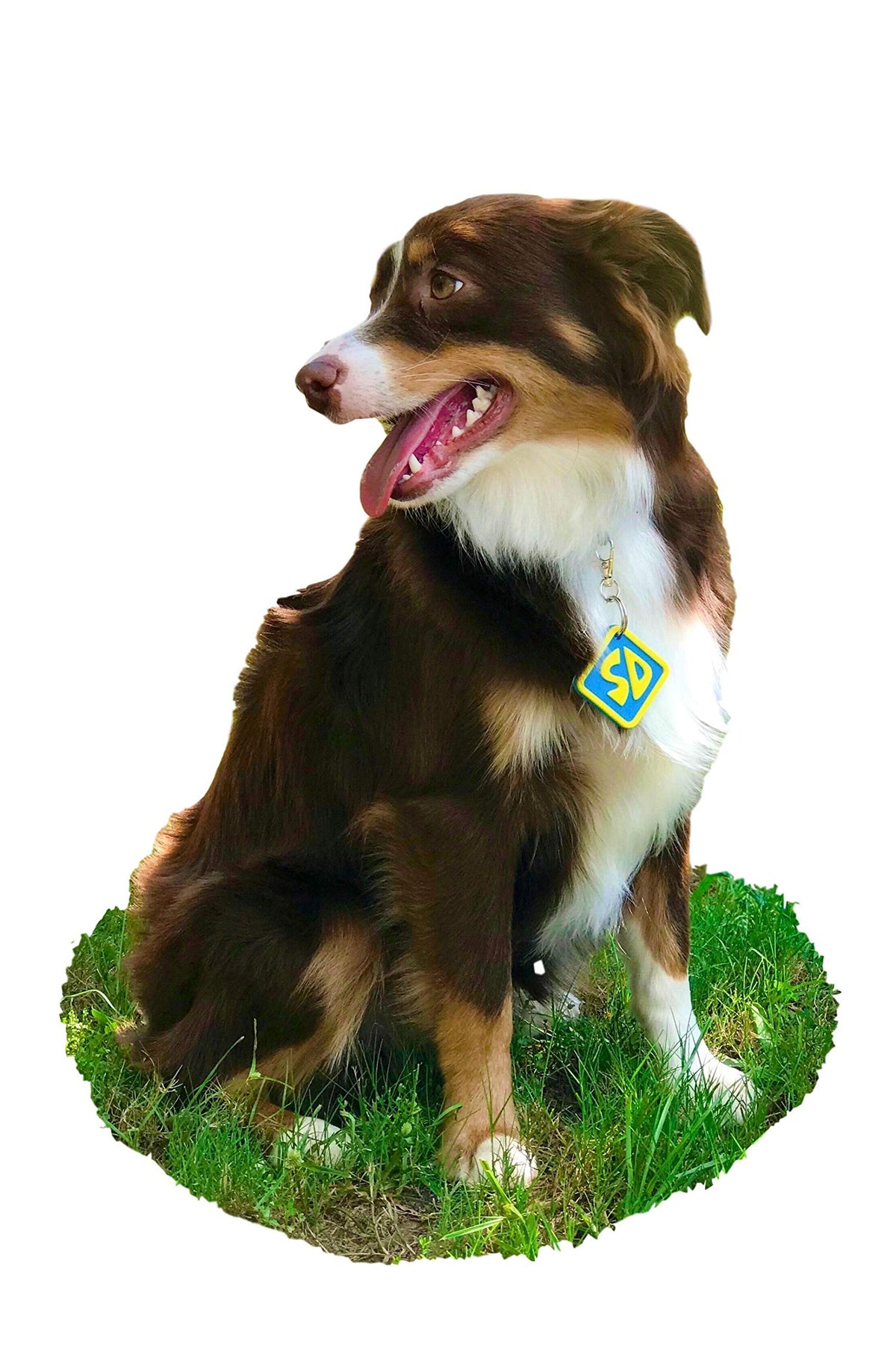 Dog Halloween Costume Collar Tag J876034