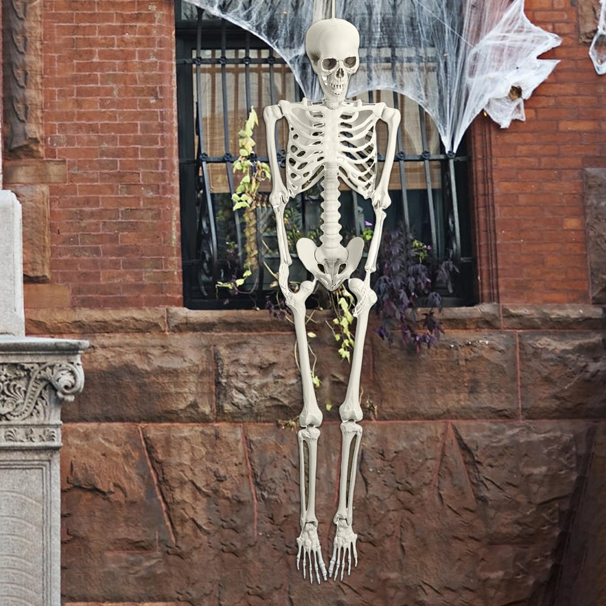 5.4ft Posable Plastic Skeleton Y2593