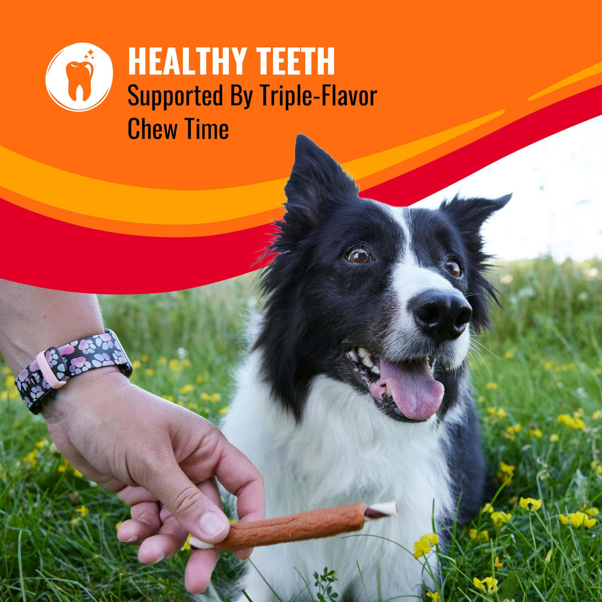 Long-Lasting Dog Treat for Large Dogs, 6 Count W807792