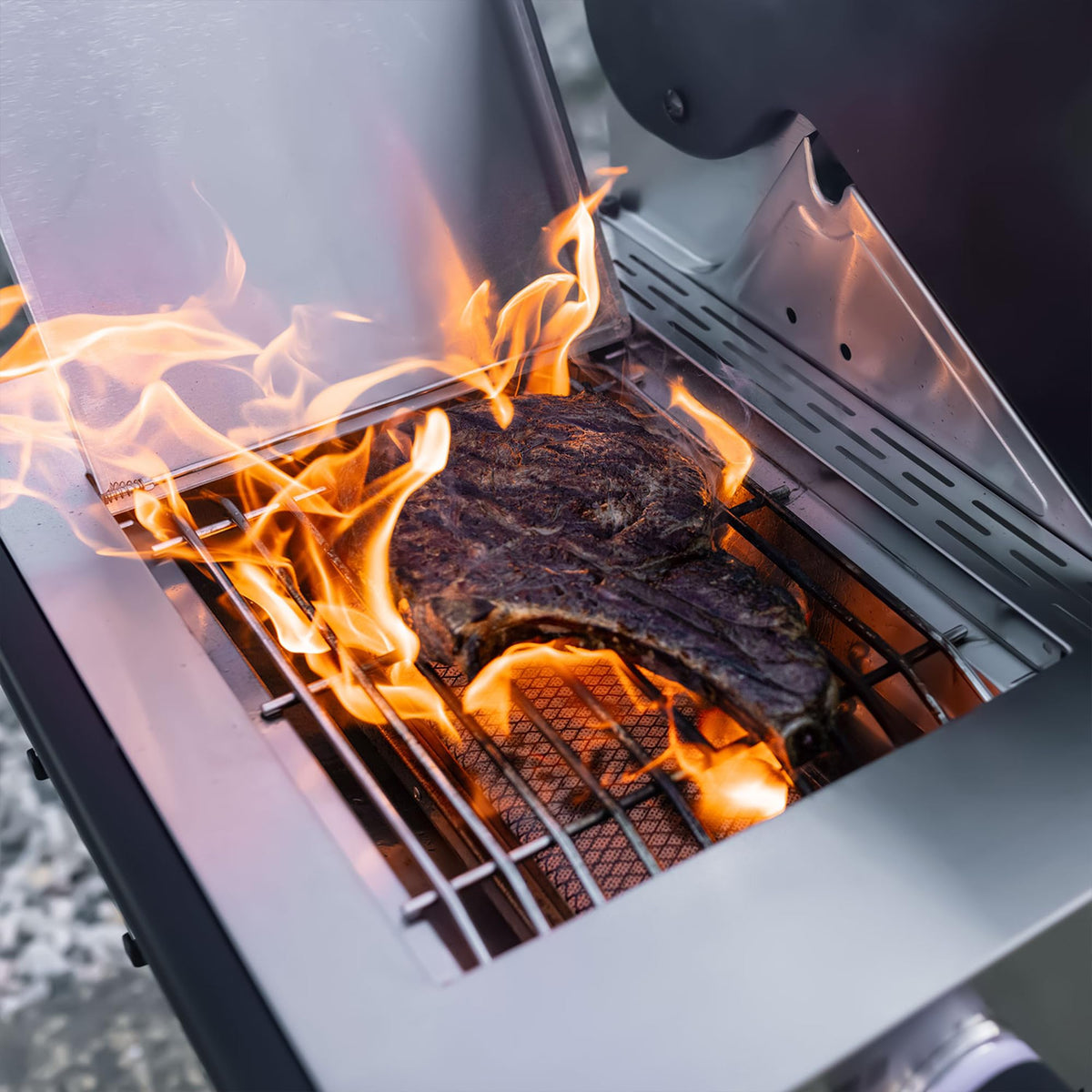 6+1 Burner Propane Gas Grill Stainless Steel 78,000 BTU with Side Sear Burner H6846