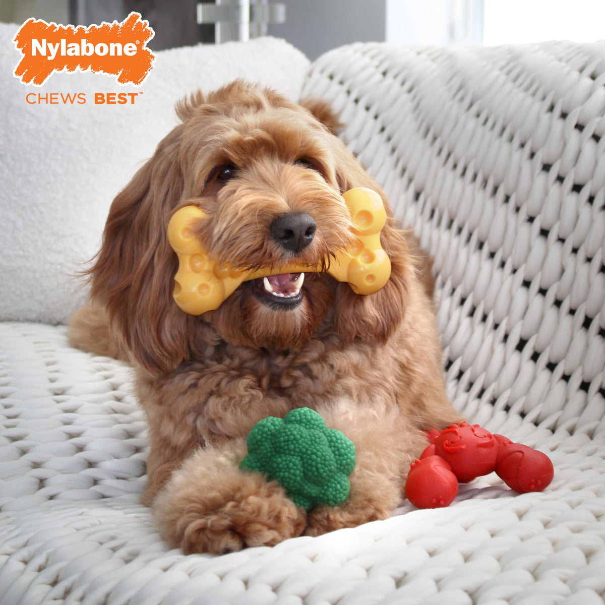 3 Pack Dog Chew Toys N463