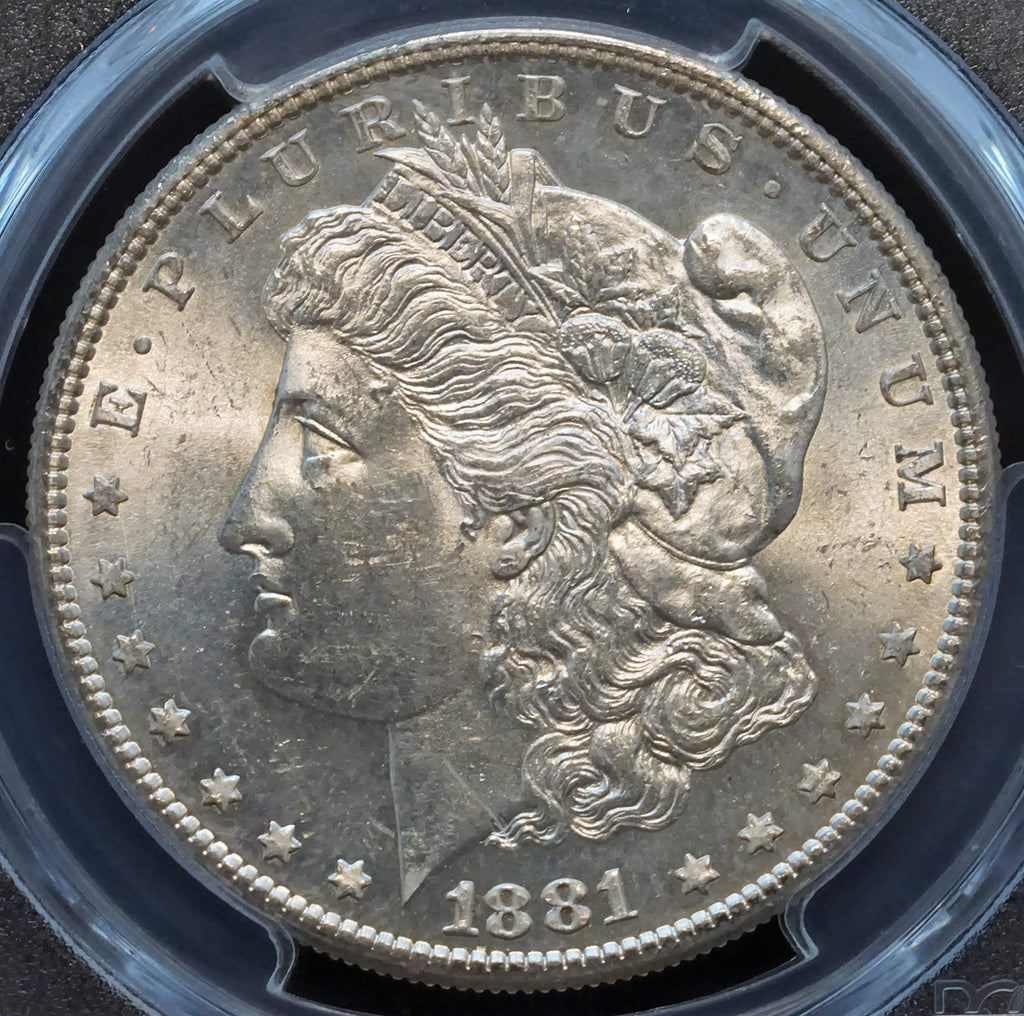 Morgan Silver Dollar $1 Z62241